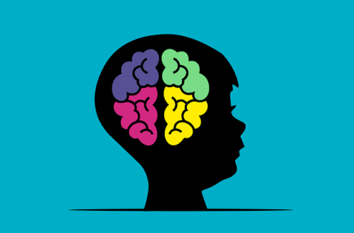 Grafisch aufbereitete Darstellung eines Gehirns.